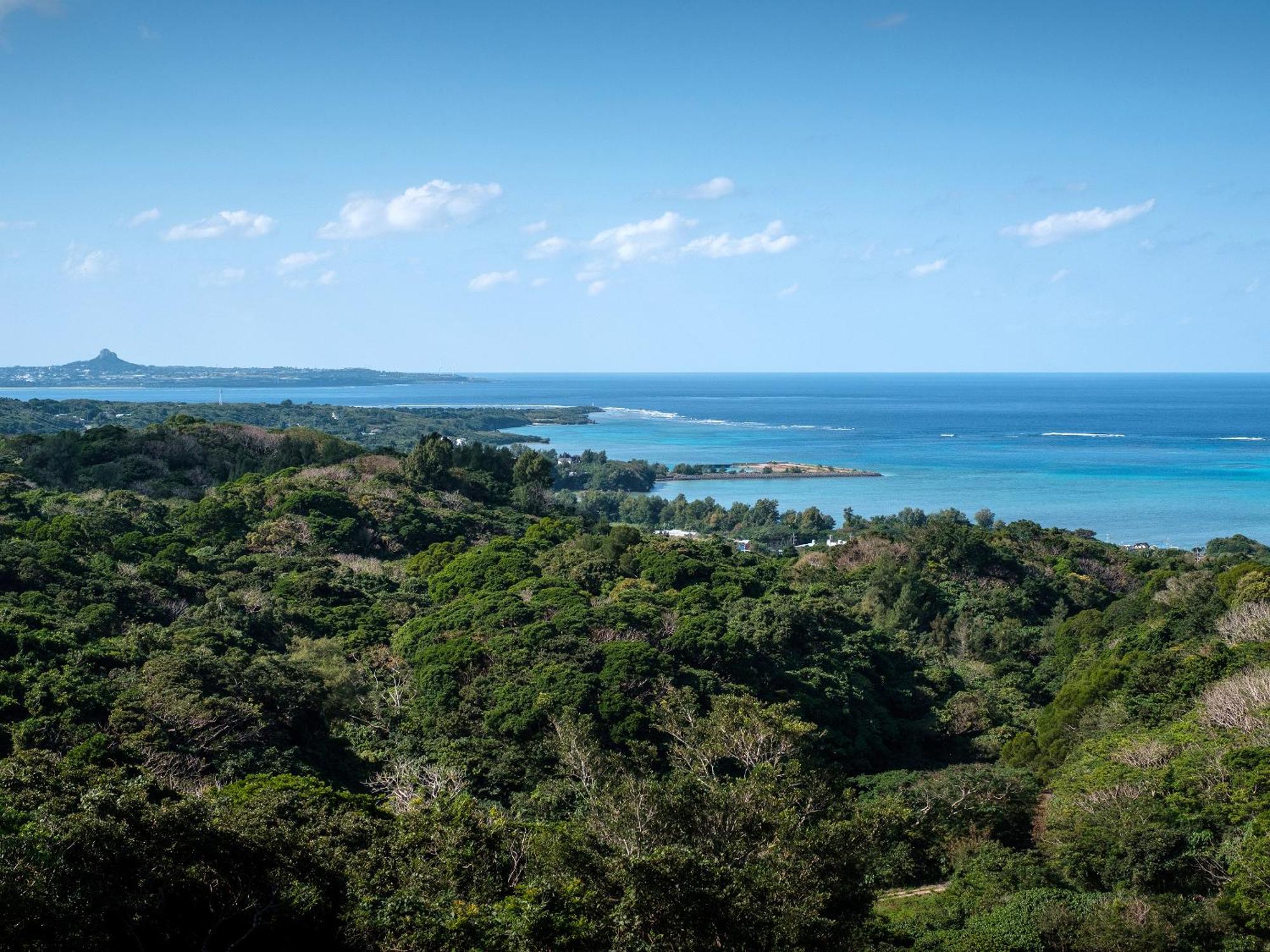 Iluvio Resort Motobu Dış mekan fotoğraf
